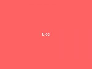 Blog 15