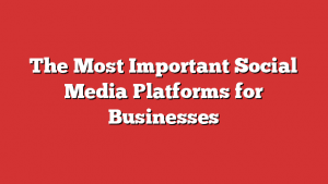 The Most Important Social Media Platforms For Businesses