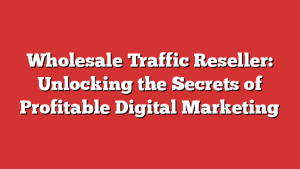 Wholesale Traffic Reseller: Unlocking The Secrets Of Profitable Digital Marketing
